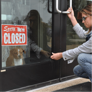Sad Dog Because Closed
